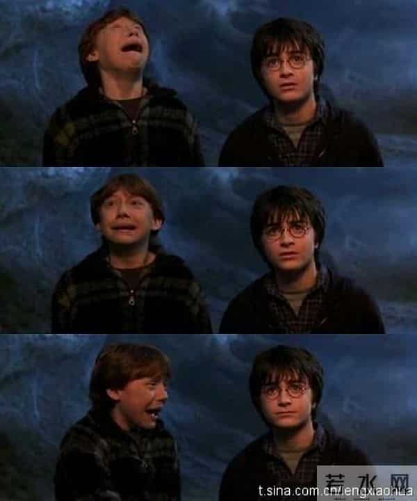 他是《哈利波特》中唯一没长残的孩子，一个被欺负的胖子