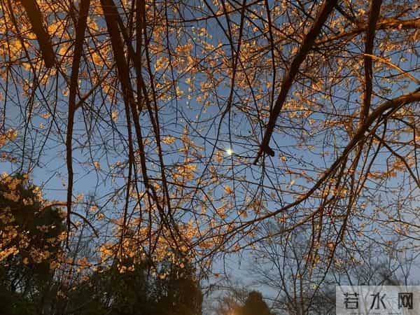 我,盲人按摩师,手指不灵活,21岁还不会用筷子,想转行当主持人