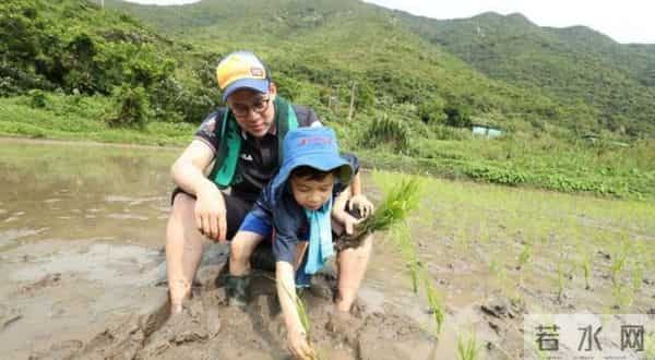 霍启刚郭晶晶逛画展大秀恩爱,腹部微凸疑怀第4胎,结婚8年生3子