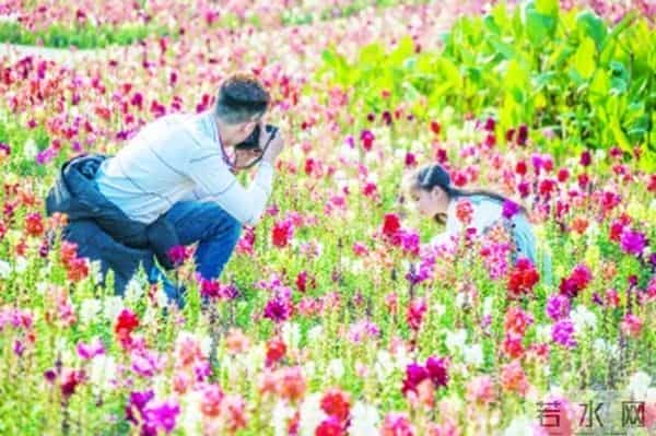 漳州大型影视制作基地 拍了哪些“大片儿”取景大特写