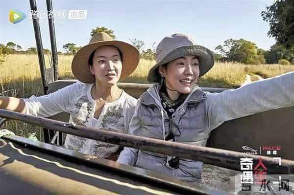 小S新节目难回“巅峰”，畅聊前男友，却不如“扮丑”有看点？