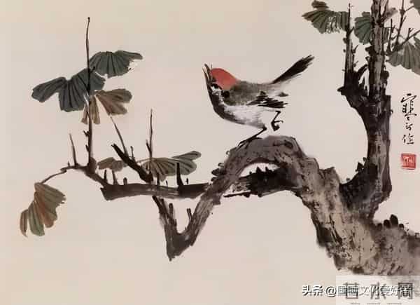 国画大家江寒汀的写意花鸟作品赏析！