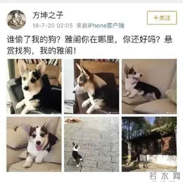 袁立:三婚两离,50岁还没孩子,受伤之后才明白还是中国男人好