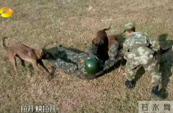 张馨予：我这辈子最正确的决定，就是嫁了个普通丈夫