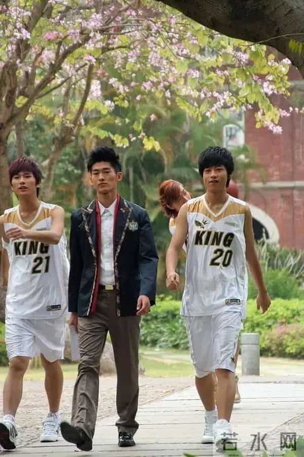 魏晨翻红,意料之中