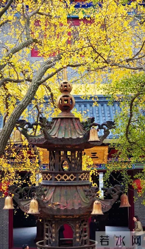 江苏11、12月最适合赏秋的6个好去处,带娃赏景两不误,选一个冲