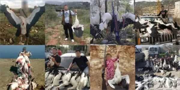 异地17年,每年飞13000公里相见,却在生子后离开!这个“负心汉”看哭了全世界……