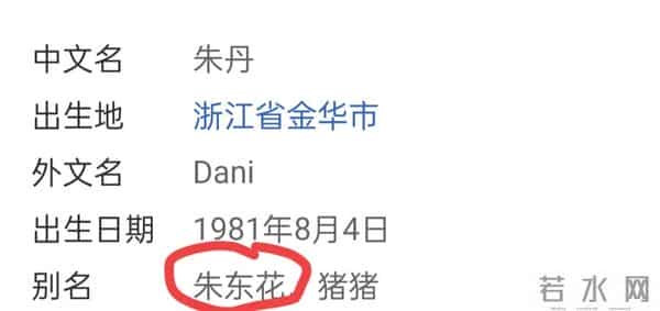 别装了朱丹,你所谓的幸福全是你拿卑微换来的