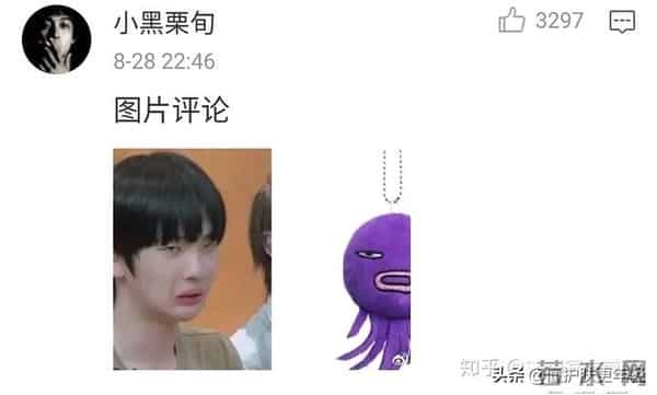 有哪些长得相像的明星?