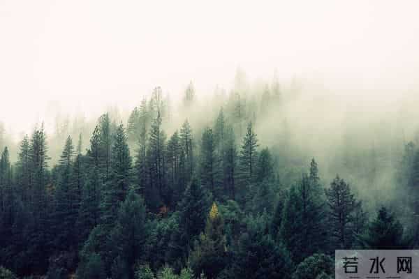 上联：三星白兰地；下联：五月黄梅天 100个无情对，超有趣对联