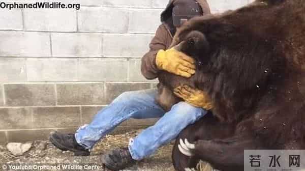 这才是真正的熊抱！男子抱住1200多斤约3米高的“泰迪熊”