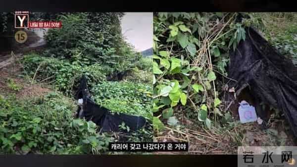 25岁韩国美女主播确认遇害!警方公布详情!类似事件频发热议