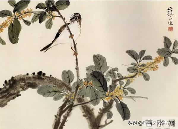 国画大家江寒汀的写意花鸟作品赏析！