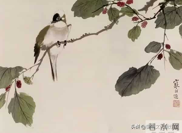 国画大家江寒汀的写意花鸟作品赏析！