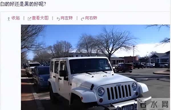 "鸠占鹊巢"田朴珺:肉搏梁朝伟,抱汤臣太子金大腿,嫁王石当阔太