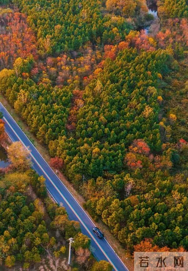 江苏11、12月最适合赏秋的6个好去处,带娃赏景两不误,选一个冲