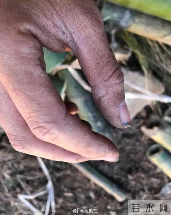 逃往美国10年后,凤姐首次露面:醒醒吧,什么网红