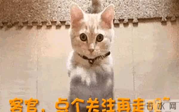 面相也变了！52岁蔡少芬的现状让人心酸，脸垮不平，又瘦又老