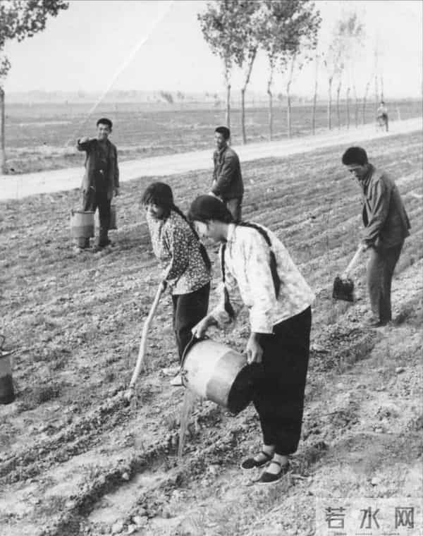 1954年,黑龙江男子与冒牌妻子同床共枕52天,才知道真妻子已遇害