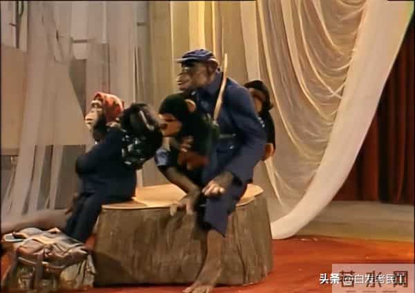 90年代春晚——1992年第10届（杨澜主持，小品冲顶）