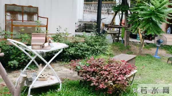 15岁女孩遭遇险境,最终实现完美自救,让潜藏多年的真凶原形毕露