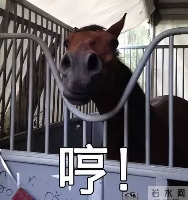 难怪电视里只有上半身,镜头下移后,是不能看的尴尬全景