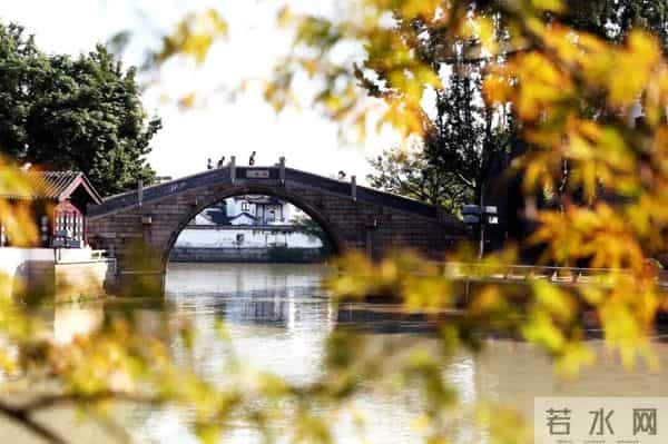 今日秋分,节日快乐!