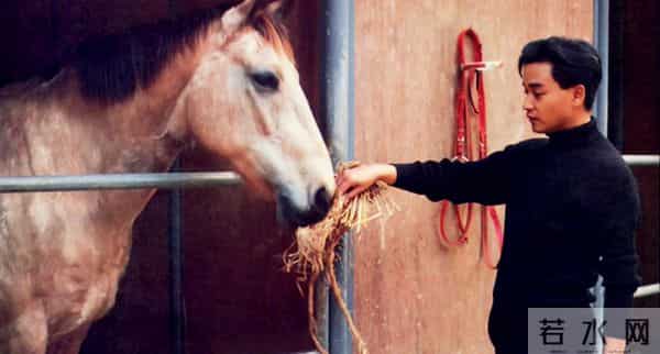 那些把乃们迷到不行的宋仲基、宋慧乔、权志龙都是他的粉丝!