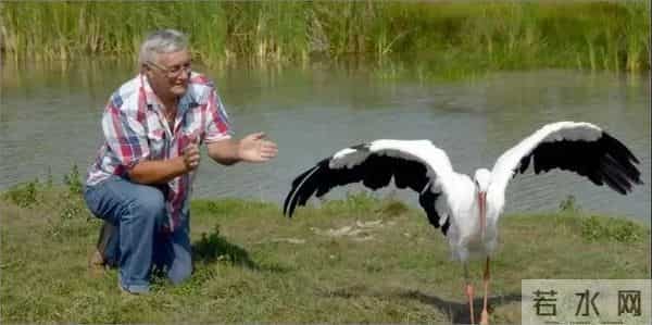 异地17年,每年飞13000公里相见,却在生子后离开!这个“负心汉”看哭了全世界……