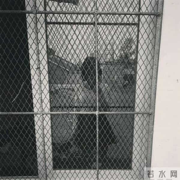 能在老狼失恋的时候陪他一起抹眼泪的男人,只有高晓松了