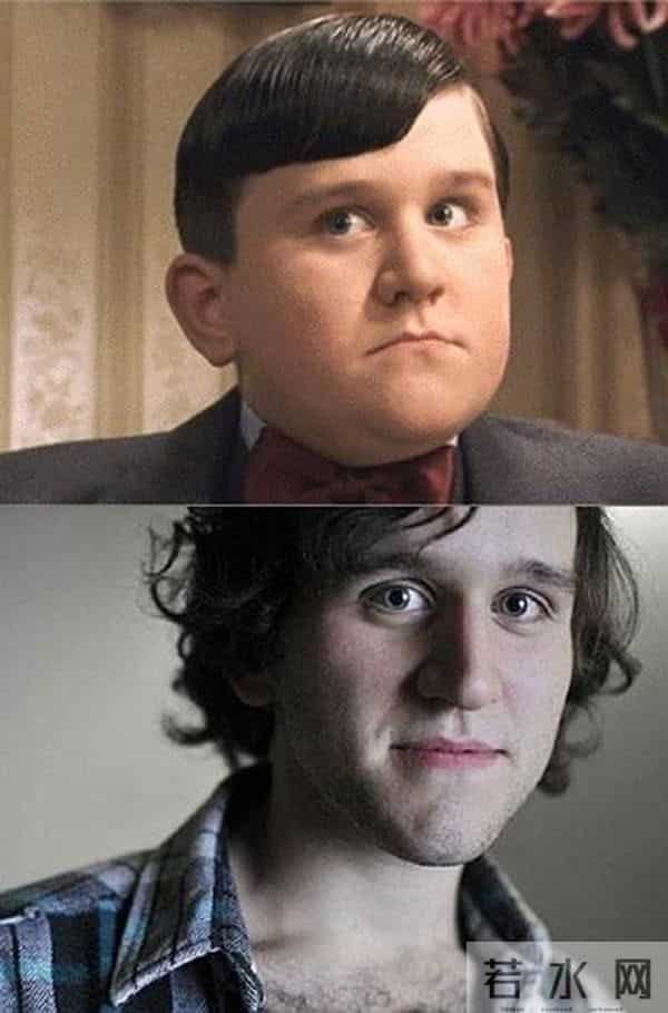 他是《哈利波特》中唯一没长残的孩子，一个被欺负的胖子