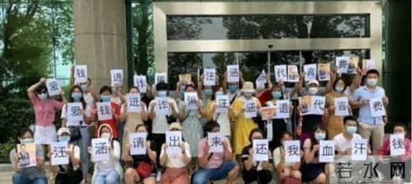 杨乐乐的老赖之路,和汪涵背后的商业帝国