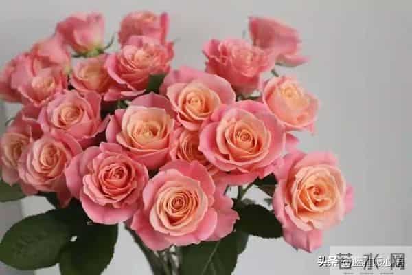 我比想象中更爱你,也比表面更想你,你却从未察觉我的深情!