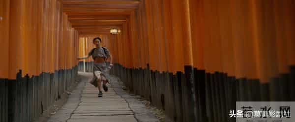 意淫的美与寂,人为还是天意——《艺伎回忆录》