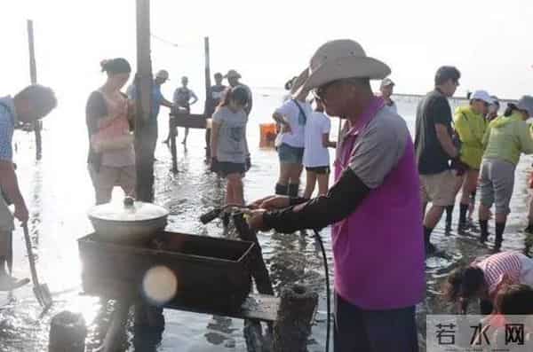 瑶瑶台湾看湿地——第二天：穿上特制鞋，牛车采生蚝