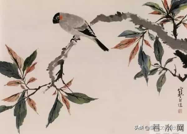 国画大家江寒汀的写意花鸟作品赏析！