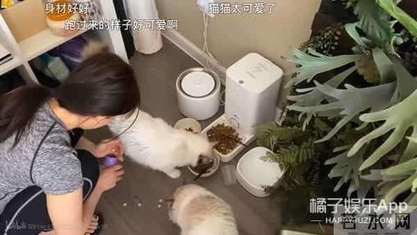 还记得古早网红南笙吗?她的脸这是do了吗?