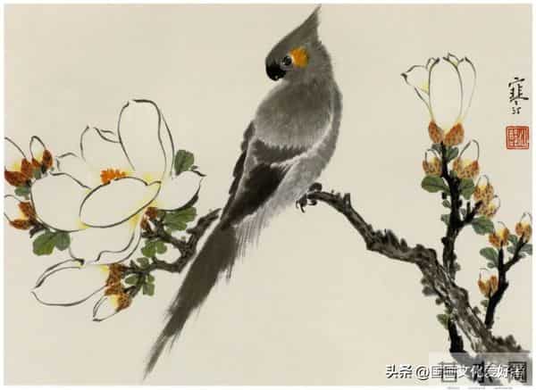 国画大家江寒汀的写意花鸟作品赏析！