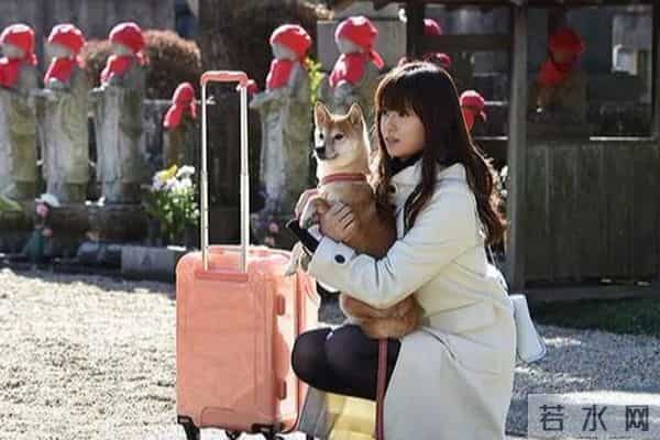 日本才是真正的“整形大国”！能年玲奈的换头大法了解一下