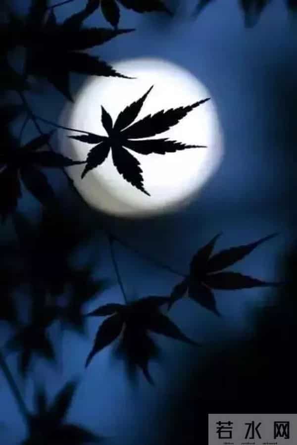 当时的月亮,诗意且悲凉