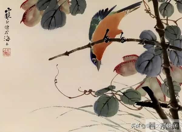 国画大家江寒汀的写意花鸟作品赏析！