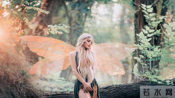 小说：被擎天柱帮忙穿越男人，到底能在爱情公寓掀起怎样的风浪？