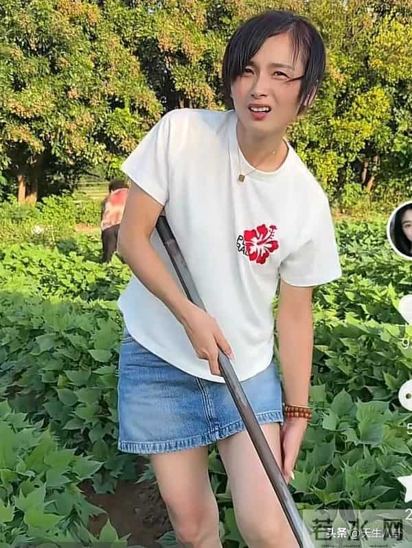 二哈火力全开，连续10条评论回怼网友，还说哈爸财产就是给她们了