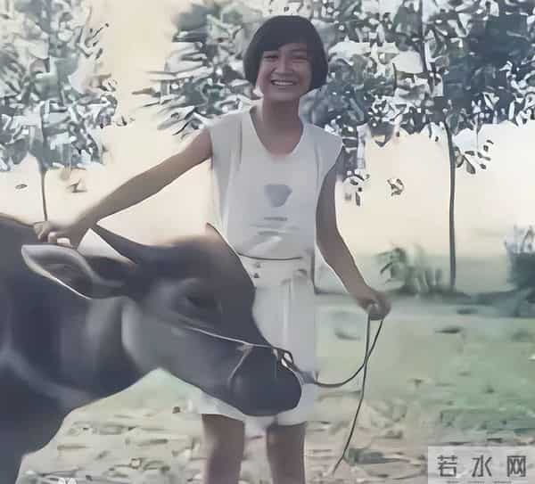 钱赚够了不装了？退出春晚销声匿迹的贾玲，如今的下场怪不了别人