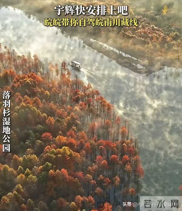 惊喜！宇辉安徽行具体行程曝光，期待回乡参加节目，双11已卖18亿