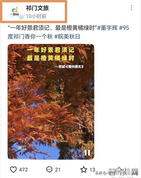 惊喜！宇辉安徽行具体行程曝光，期待回乡参加节目，双11已卖18亿