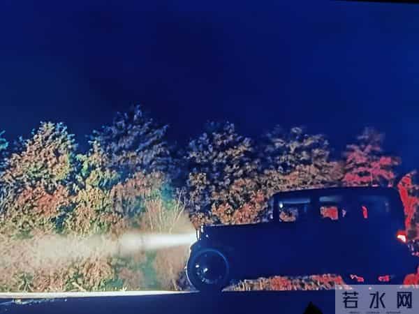 121改成了429,她有了活命的机会。