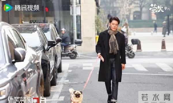 他为什么依然单身：看了霍建华才知道，高颜值的毒舌也讨观众喜爱