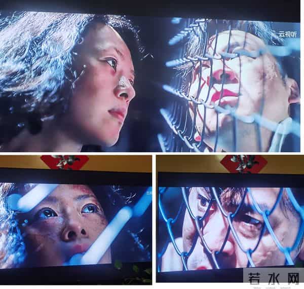 121改成了429,她有了活命的机会。