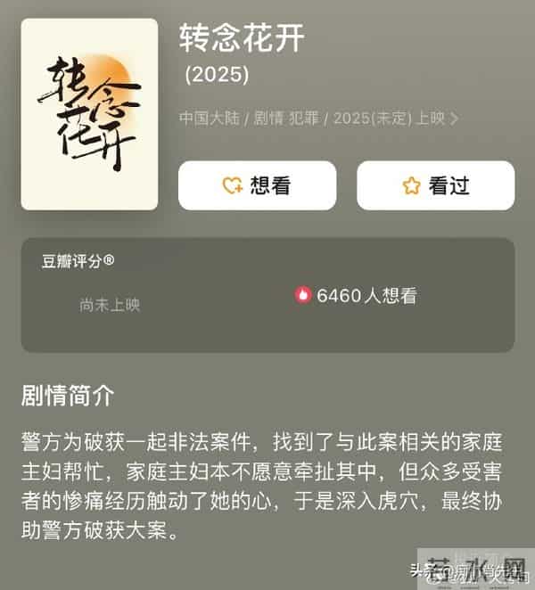 杨紫目前5部待播剧,1部在拍摄,不愧是名副其实的“90后卷王”!